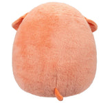سكويش مالوز دمية الجرو جازويرز الالعاب القطنية Squishmallows
