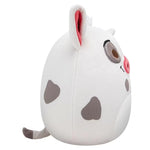 سكويش مالوز دمية بوا الالعاب القطنية Squishmallows