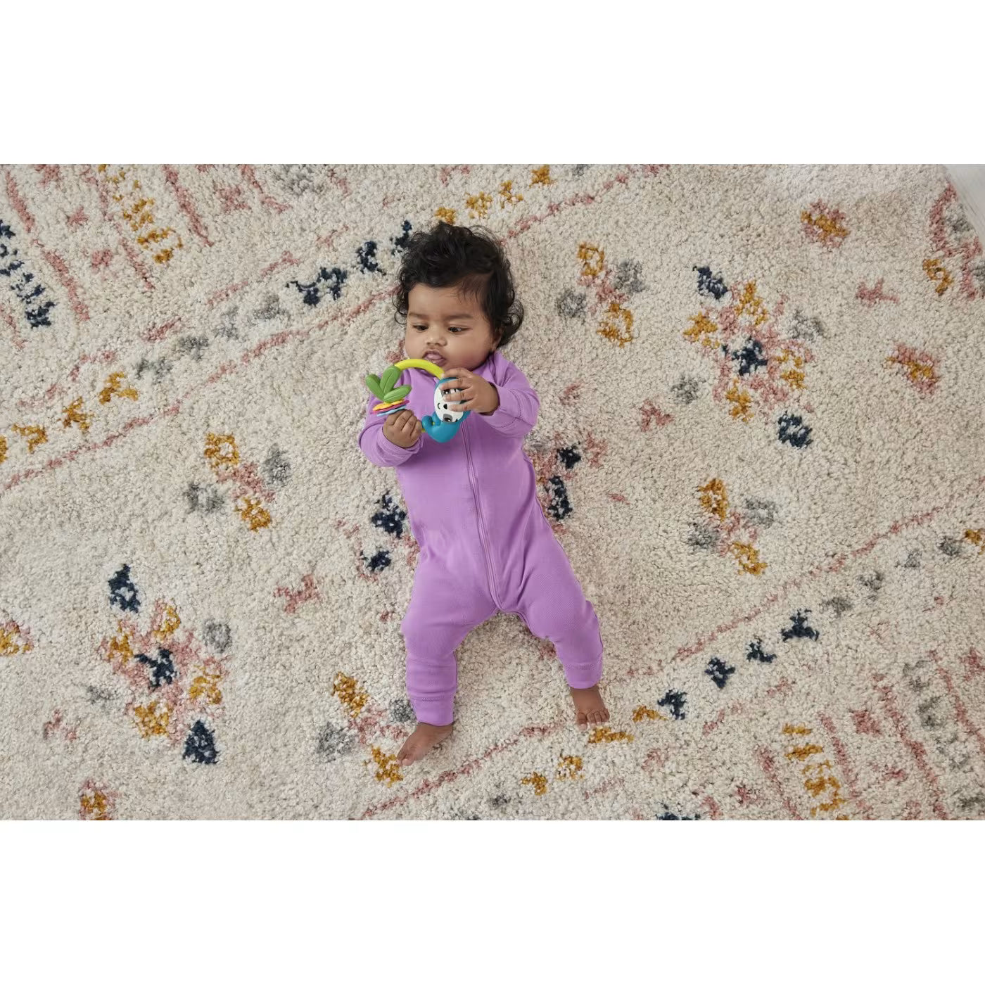 فيشر برايس خشخيشة حيوان الكسلان مواليد fisher